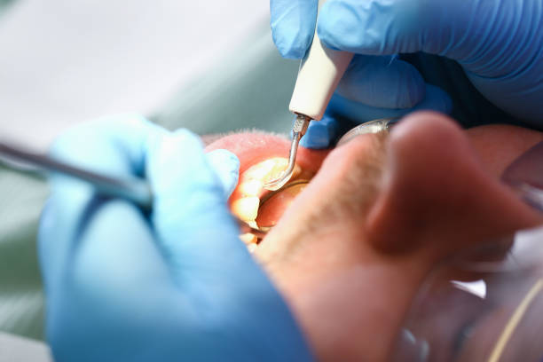 Best Emergency X-Rays and Diagnostics in Middleport, OH